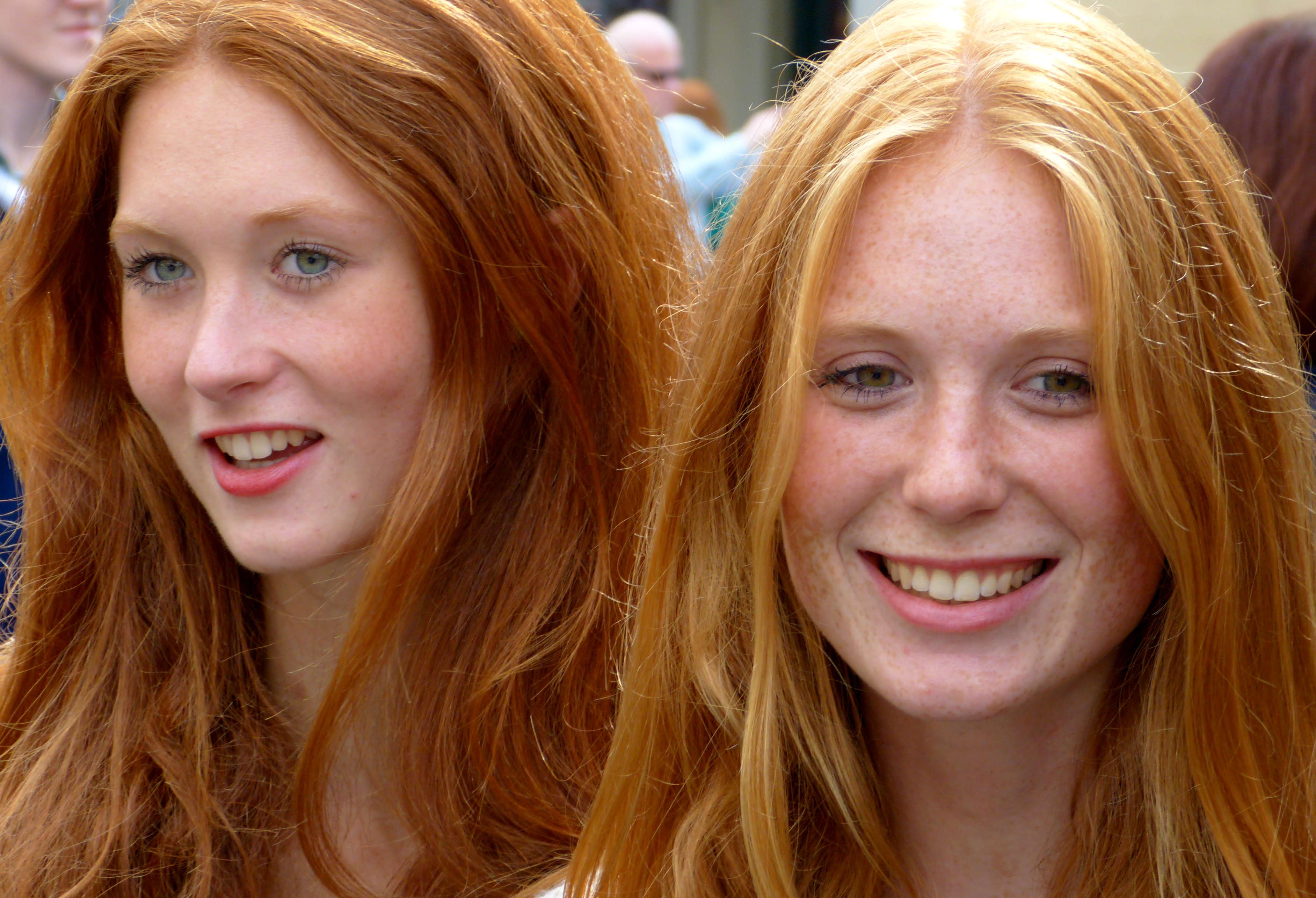Blonde redhead homepage