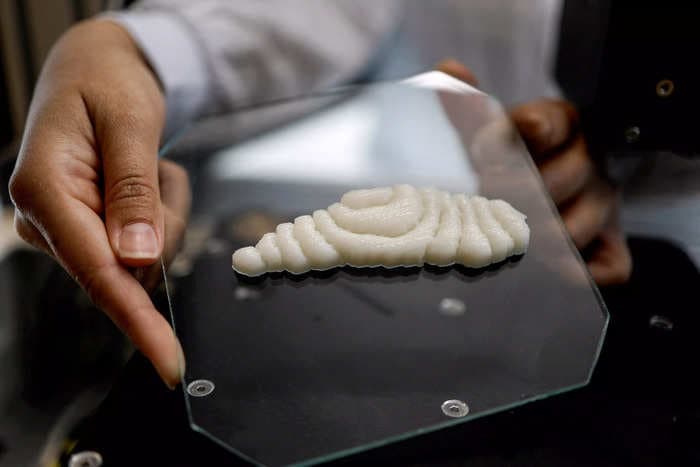 'Fish fillets' from a 3-D printer could be hitting a plate near you. Would you eat one?