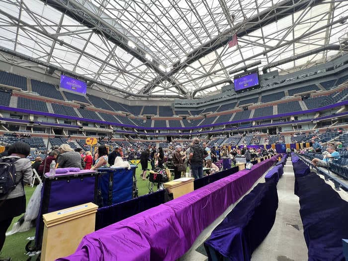 Photos show what it's really like behind the scenes at the Westminster dog show