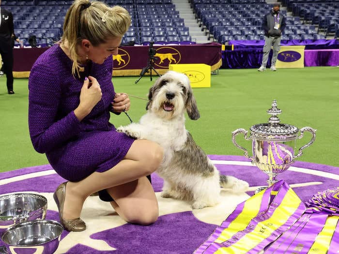 The Westminster dog show winner is the first of its breed to be thrown a bone