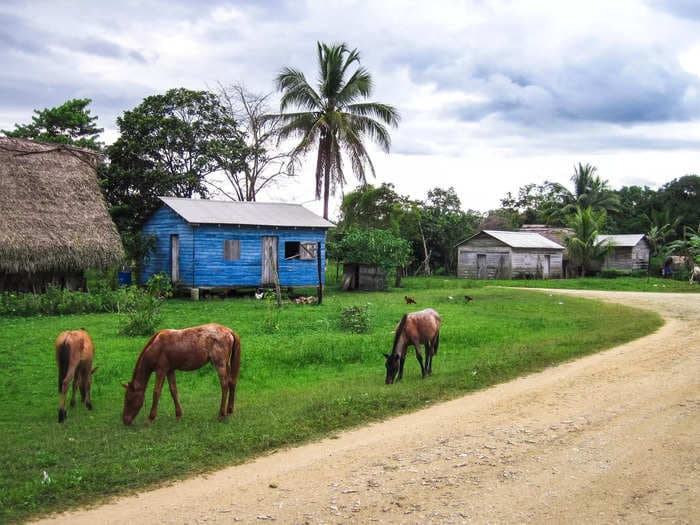 A writer who moved from Pennsylvania to Belize for a cheap and laid-back life said it's saved her money but the newfound peace of mind is priceless