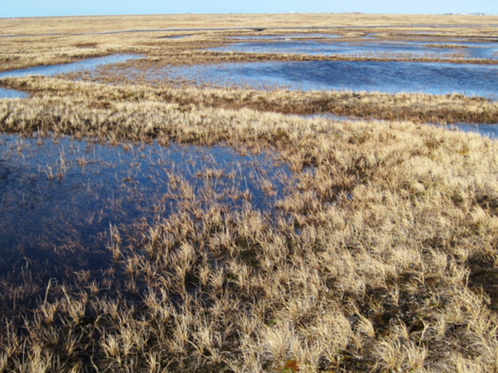 Buried toxic waste from old mining operations could destroy ecosystems as warming thaws the Arctic permafrost