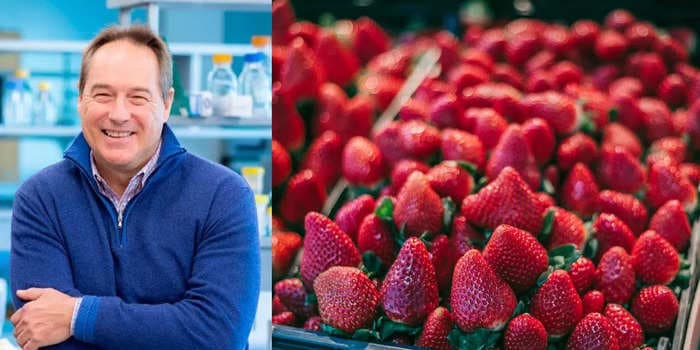 A longevity researcher shares why he takes a strawberry supplement every 2 weeks to slow aging