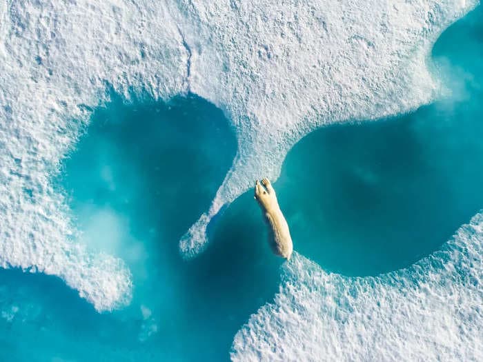 39 award-winning photos that show some of the most vibrant colors around the world