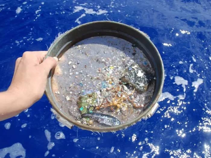 World's first weather report to include 'plastic rain' forecasts 50 kg of microplastic falls over Paris