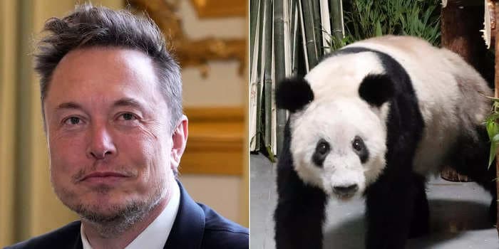 Elon Musk is in China for the first time in 3 years, but people on the Chinese internet only care about a giant panda called Ya Ya