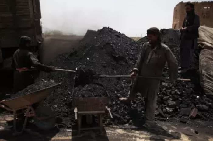 Coal India OFS: Institutional buyers portion oversubscribed but stock falls