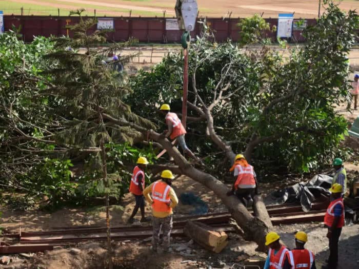 Felling of trees should be last resort in city gasping for breath: Delhi HC