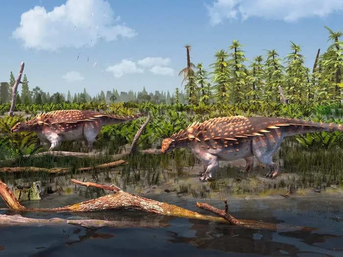 A brand new dinosaur species with spiky armor was recently discovered to have roamed England during the Cretaceous period