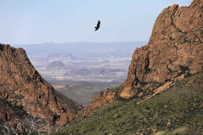 A man and his 14-year-old stepson died while hiking through the 'hottest part of Big Bend National Park,' park rangers say