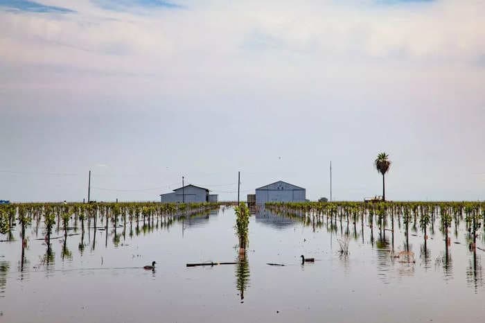 Space photos show over 1 trillion gallons of water flooding crop fields in California, and it could mean higher food prices