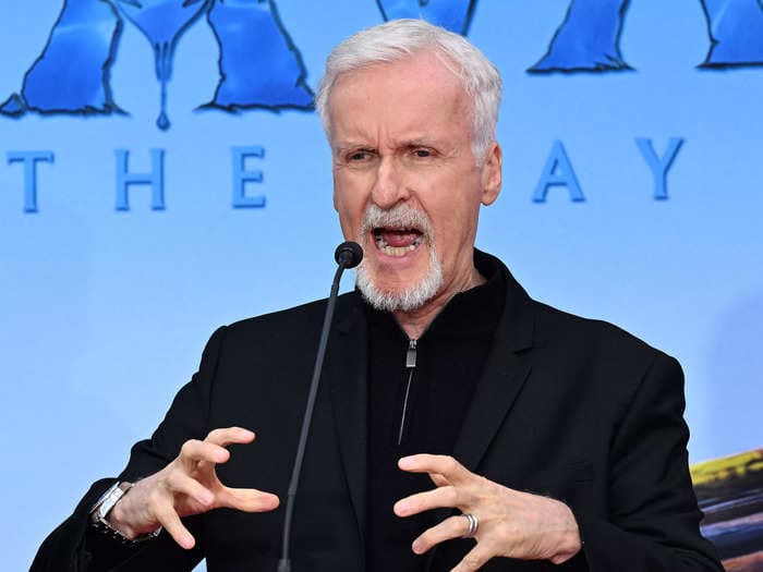 OceanGate's co-founder says James Cameron &mdash; who's criticized the company's now-imploded Titan sub &mdash; 'knows nothing' about company's vessel