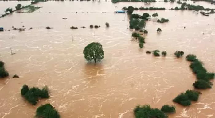 Maharashtra's Nanded sees flood-like situation, 1,000 people shifted