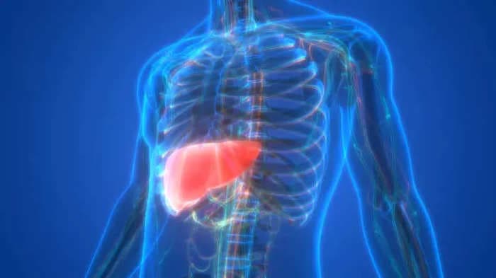 38% of Indians have non-alcoholic fatty liver disease, says AIIMS study