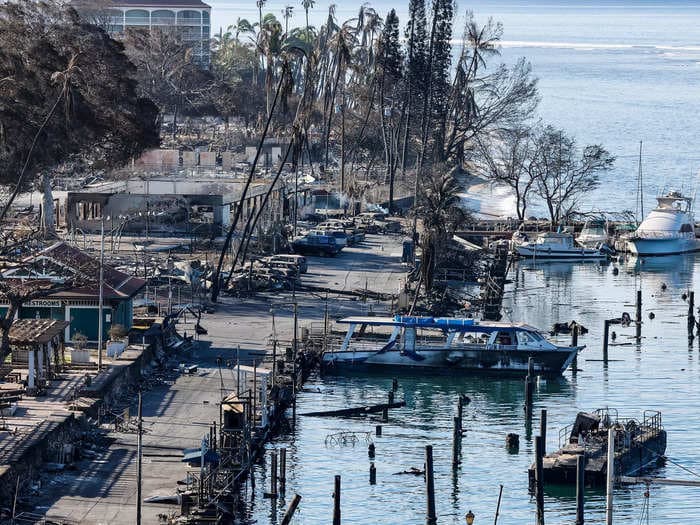 Hawaii woman shocked as tourists are back to swimming at Maui's beaches just days after wildfire victims' bodies were pulled from the water