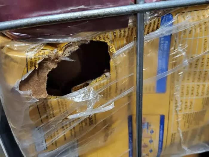 Leaked photos show a Dollar General store with rat-chewed products, a dead rodent, and fecal matter covering the stockroom floor.