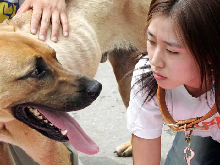 South Korea's dog meat trade may be on its last legs as farmers face low consumption and threats of bans