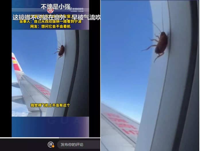 A cockroach on a plane is going viral for appearing to stay alive and twitching while lodged in a plane window next to one fascinated passenger