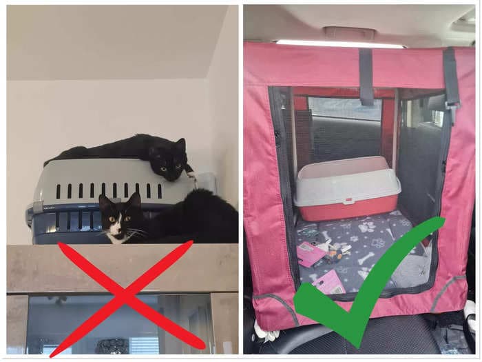 I swapped out my cat's tiny carrier for a $50 playpen with a litter box. It helped with his motion sickness, and now I'll never travel without it.