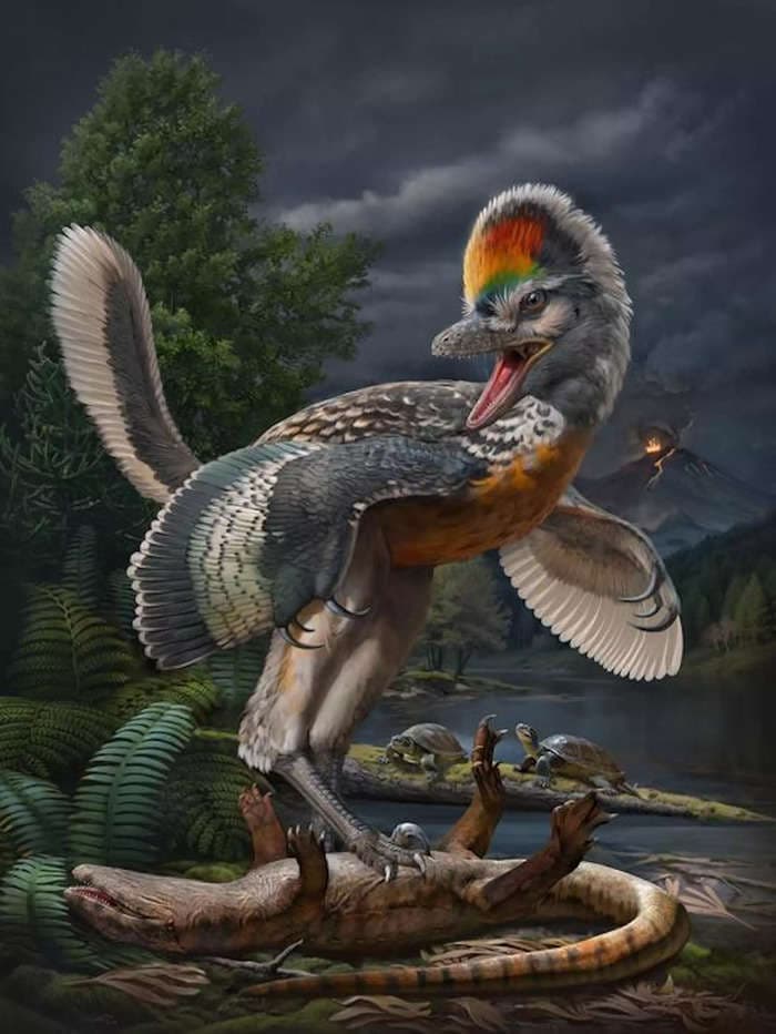 Scientists uncover a 'bizarre' leggy dinosaur unlike anything seen before, and it could rewrite the history of bird evolution