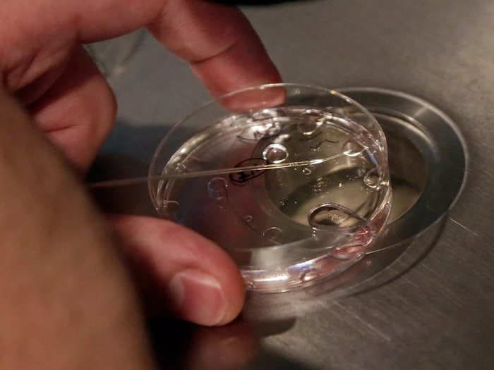 A human embryo grown in a lab without a sperm or egg could be a revolutionary new way to test medicines that may help prevent miscarriage and genetic diseases