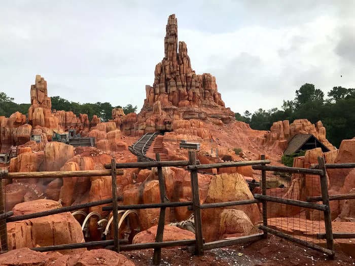 A wild bear that wandered into Disney World and forced half of Magic Kingdom to shut down probably just wanted a snack: officials