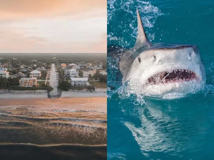 Why this small Florida county became the 'shark bite capital of the world'