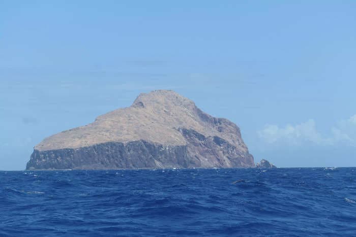 This Caribbean island was once plagued with rats that destroyed the ecosystem. Now, plant biomass has increased 2,000% thanks to environmental group efforts.