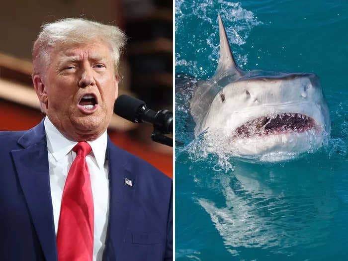 Trump, in a new rally rant, wondered aloud if he would rather die by electrocution or get eaten alive by a shark