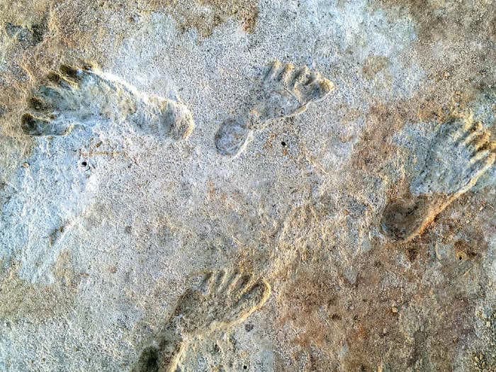 20,000-year-old footprints show humans have been in the Americas longer than previously thought, scientists say