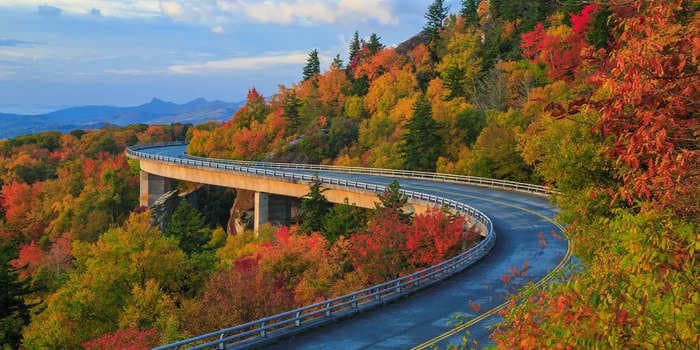 People keep trying to feed and hold a bear on North Carolina's Blue Ridge Parkway and it's gotten so bad that the National Parks Service had to close parts of the road