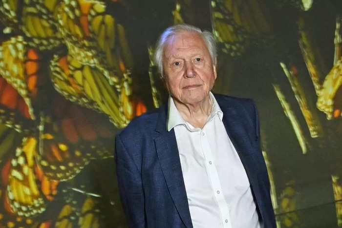 David Attenborough finds the AI version of himself 'personally distressing'