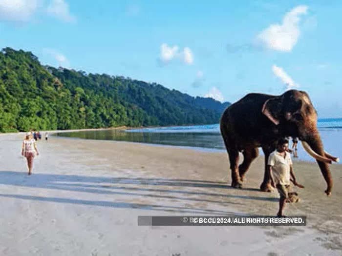 Andaman to open uninhabited Aves Island for travellers in bid to attract tourism