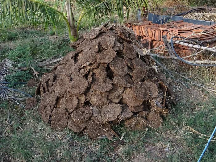 A Japanese Start-Up Is Testing a Rocket Powered Entirely By Rocket Fuel Created From Cow Dung!