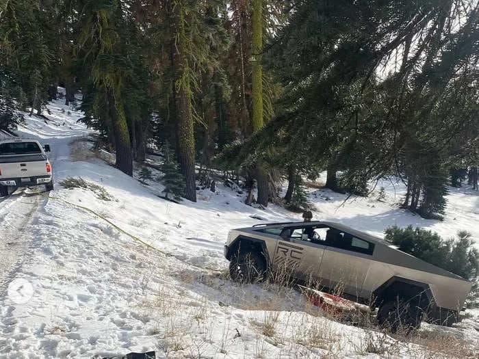 The US forest service says Tesla's viral stuck Cybertruck video could be a valuable learning opportunity