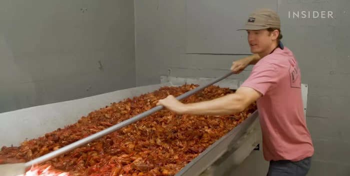How a Louisiana crawfish company harvests 60,000 pounds a day
