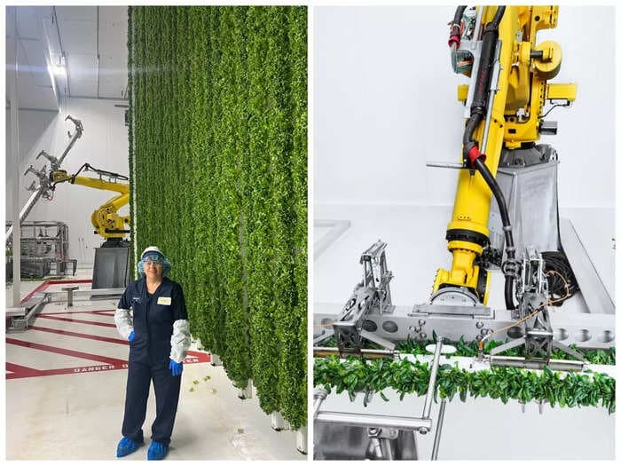 I visited an indoor farm in Compton that's growing leafy greens for Walmart and Whole Foods using robots &mdash; and it gave me a peek at the future of farming