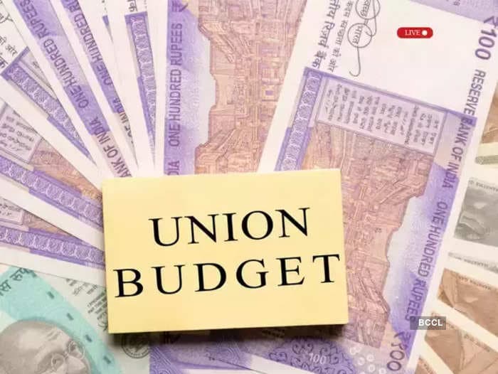 Budget 2024 expectations: From removal of security transaction tax to sovereign green bonds