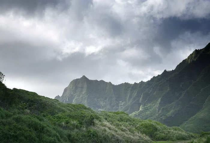 A barking dog alerted passersby to a missing hiker who fell over 150 feet down the slope of a Hawaii mountain 