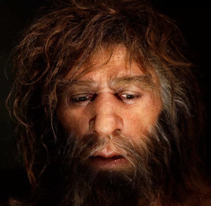 'Intellectually inferior' humans caused Neanderthals to go extinct, a new book claims