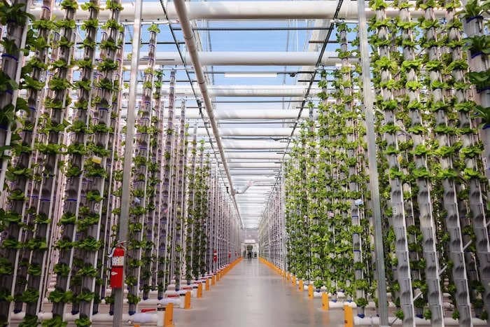 This indoor farming company is trying to win workers over to agriculture — through desk-job benefits