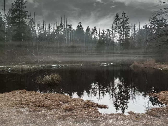 Wetlands in the icy Arctic have begun releasing 9% more planet-warming methane in the past two decades: study