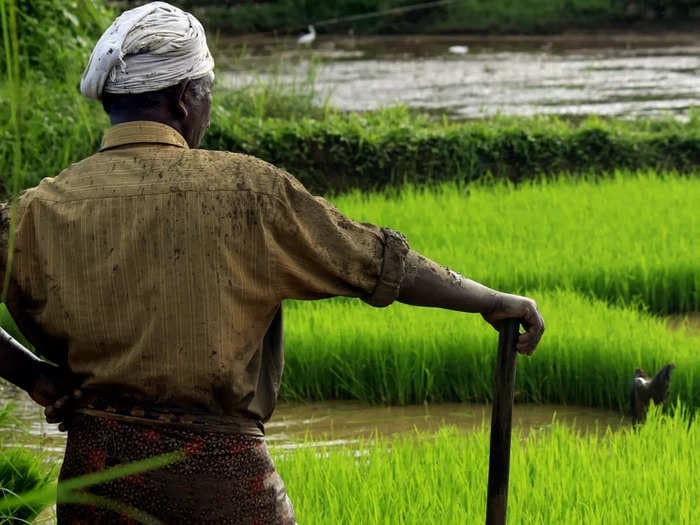 Climate-smart villages to come up in Tamil Nadu to protect state's agriculture against climate change