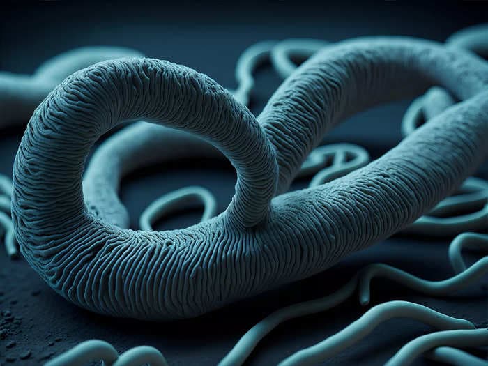 Parasitic worms are set to become a whole lot more common because of climate change, study says