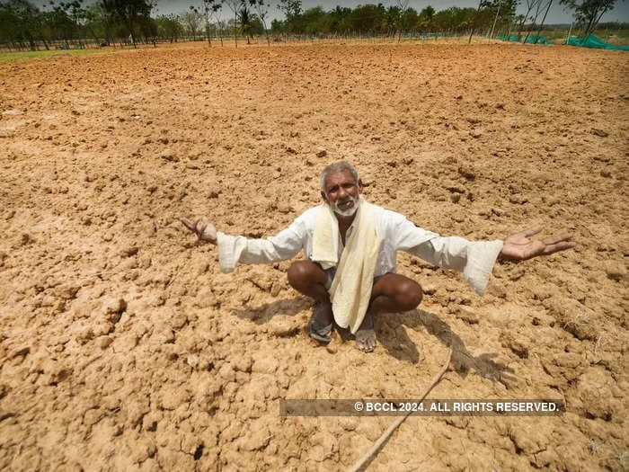 Brace for ‘climateflation’: Study predicts rise in food price inflation amid worsening climate change