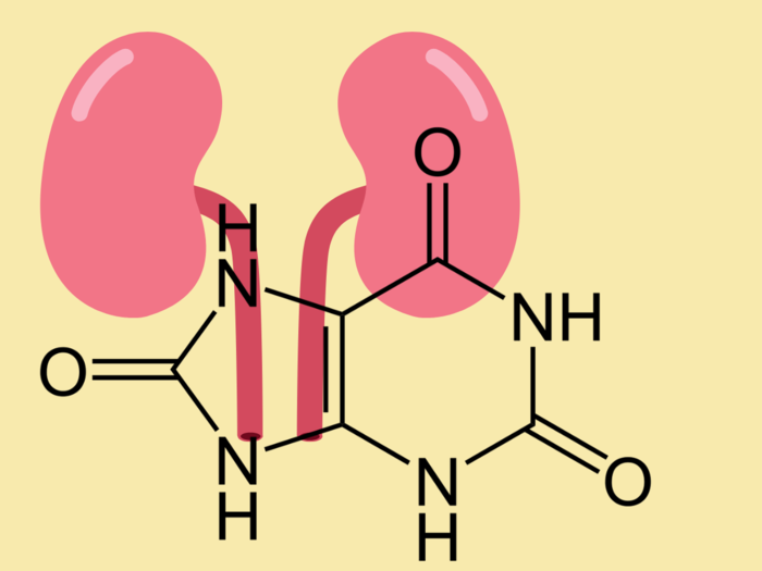 Understanding and transforming diet to take charge of high uric acid levels in the body