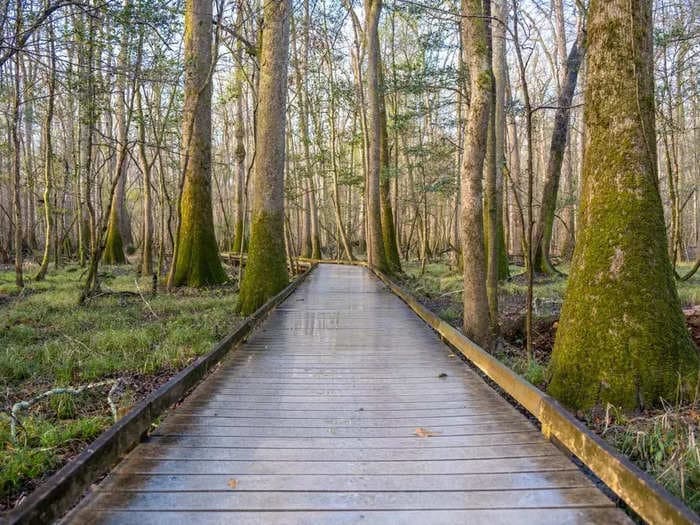 I'm a former park ranger at state and national parks. Here are my 6 favorite national parks to visit. 