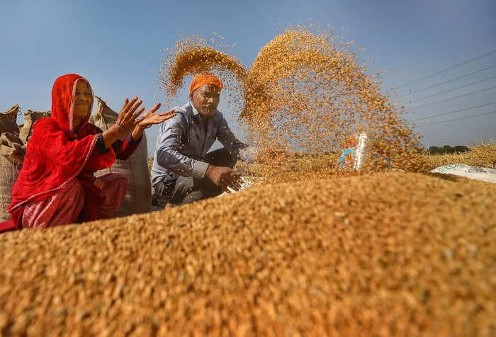 Wheat procurement exceeds last year's total amid robust supplies from Punjab, Haryana, Madhya Pradesh