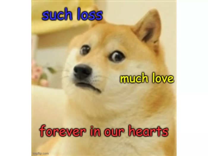 World-famous Shiba Inu who inspired the ‘doge’ meme passes away; Dogecoin pays tribute, drops limited NFT collection
