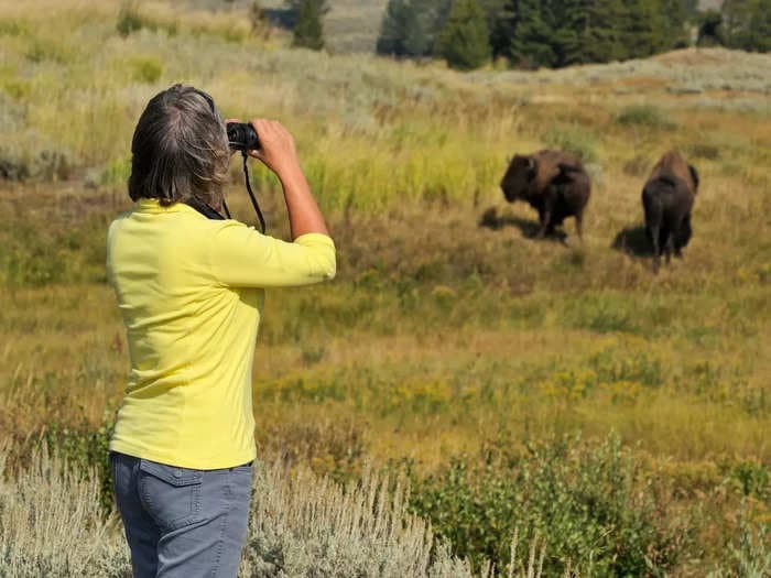 Every time tourists misbehaved in national parks this year &mdash; so far